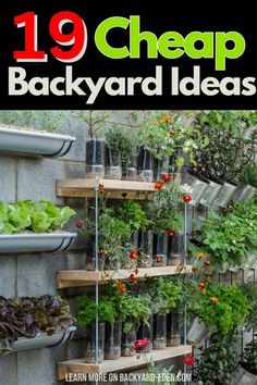 the cover of 19 cheap backyard ideas, with plants growing in pots and hanging on shelves