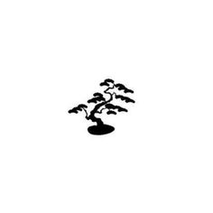 a black and white photo of a bonsai tree