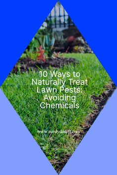 grass with the words 10 ways to naturally treat lawn pests avoiding chemicals on it