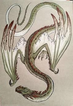 a drawing of a dragon with wings on it's back and tail curled up