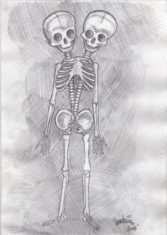 a drawing of two skeletons standing next to each other