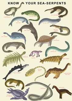 a poster with different types of sea animals