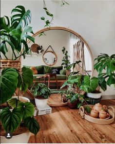 a living room filled with lots of plants and potted plants on top of wooden floors