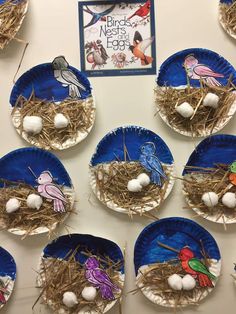 paper plates with birds and eggs on them