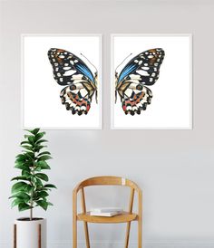 two butterfly paintings hanging on the wall next to a wooden chair and potted plant