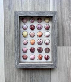 a shadow box filled with seashells on top of a wooden floor