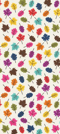 an image of colorful leaves on a white background