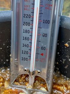 a thermometer sitting on top of a pan filled with food