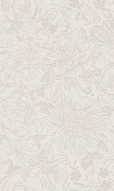 an image of a white flower wallpaper