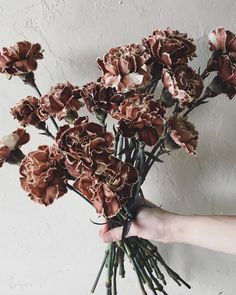 a person holding a bunch of flowers in their hand with the stems still attached to it