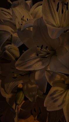 some white flowers in a vase on a table