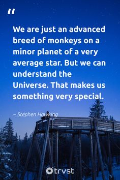 a wooden structure in the snow with a quote from stephen fowling on it that says, we are just an advanced breed of monkeys on a minor planet