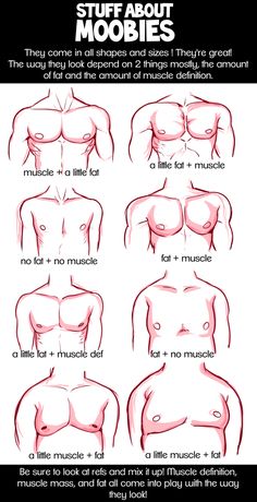 how to draw the muscles for beginners with pictures and instructions on how to draw them