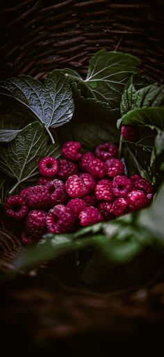 raspberries in a wicker basket with green leaves on the side and dark background