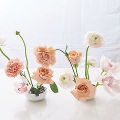 several pink and white flowers are in small vases on a table with a white background