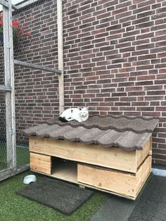 a cat laying on top of a dog house next to a brick wall and green grass