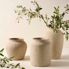 three vases with plants in them on a table