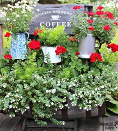 flowers and plants are arranged in pots on an old wooden crate with a sign that says, national brewers coffee