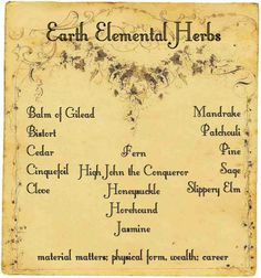 Elemental Magick, Air Elemental, Witchy Business, Magickal Herbs, Magia Das Ervas, Elemental Magic, Magic Herbs, Slippery Elm, Magical Herbs