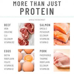 Caveman Diet Food List, Carnivore Ideas, Lion Diet, Caveman Diet Recipes, Animal Based Diet, Carnivore Keto, Caveman Diet, Keto Carnivore, Meat Diet