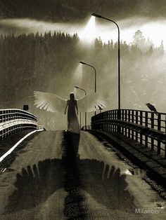 a woman walking across a bridge with birds flying over her and trees in the background