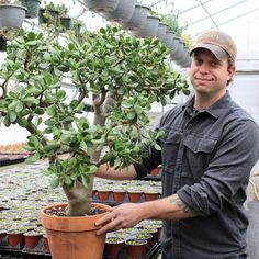 a man standing next to a potted plant in a greenhouse