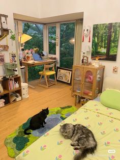 two cats sitting on a bed in a room with large windows and wooden flooring