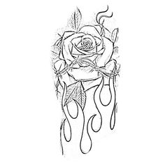 a drawing of a rose on a white background