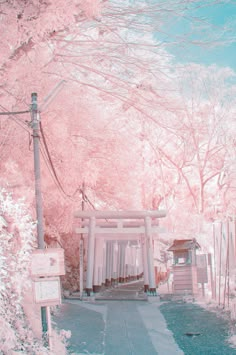 an infrared image of a path leading to a shrine surrounded by trees with pink flowers