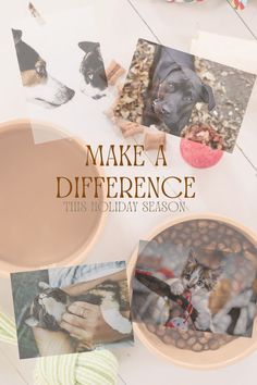 the cover of make a difference this holiday season with pictures of dogs and cats in bowls