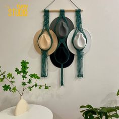 three hats are hanging on the wall next to a potted plant