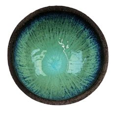 an eyeball is shown with blue and green colors