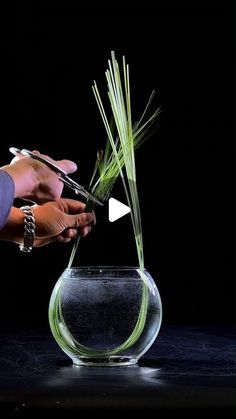 a person is using scissors to cut grass in a glass vase with water and reeds