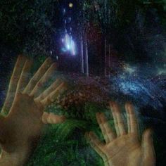 two hands reaching out to each other in front of a forest and street light at night