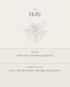 a christmas card with holly on it and the words, merry holly meaning protection, enhance good luck