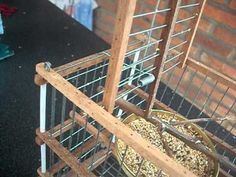 a bird cage filled with birds inside of it's enclosure next to a brick wall