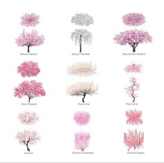 the different types of trees are shown in pink and white