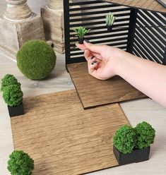 a person is pointing at small plants on the floor next to a wooden table with two black planters