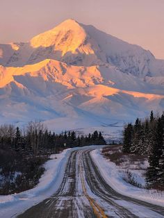 a snow covered mountain sits in the distance behind a road with trees on both sides