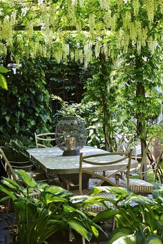 an outdoor dining table surrounded by greenery