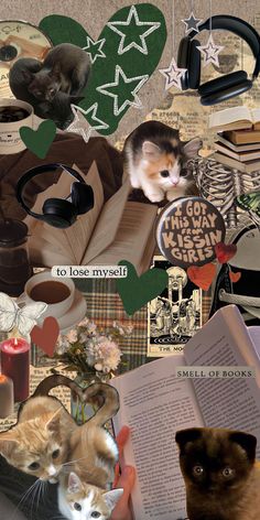 collage of cats and books with caption that reads, to lose my mind