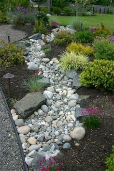 a garden with rocks and plants in it