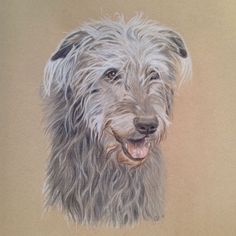 a drawing of a shaggy haired dog with his mouth open and tongue out, looking at the camera