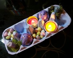 an egg carton filled with eggs and candles