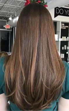 Haircuts Layers Straight Hair, Blended Long Layers Straight, Subtle Layers With Curtain Bangs, Noticeable Layers Hair, Long Layers Brunette Straight, Long Layer Hair Cuts For Women, No Layered Haircut, Thick Hair With Long Layers, Long Straight Hair Long Layers