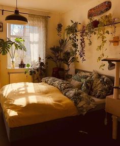 a bed sitting in a bedroom next to a window with plants on the wall above it