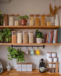 some shelves filled with lots of different types of plants and food on top of them