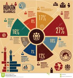 the human resources wheel info graphic