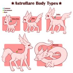 the different types of animals that are in astro flare body types for each type of animal