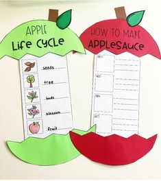 an apple life cycle cut out on a piece of paper